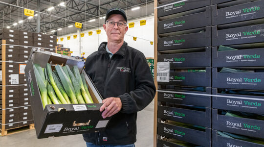 Nieuwe verpakking voor prei: stevige massief kartonnen trays