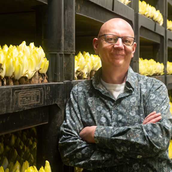 Bart Bruyninckx, owner Bruyninckx Chiconnettes